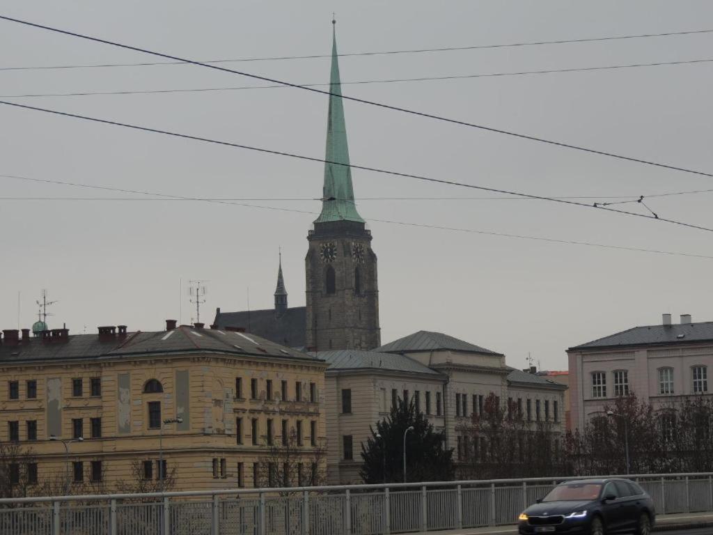 Cerny Tulipan - 5 Plzen